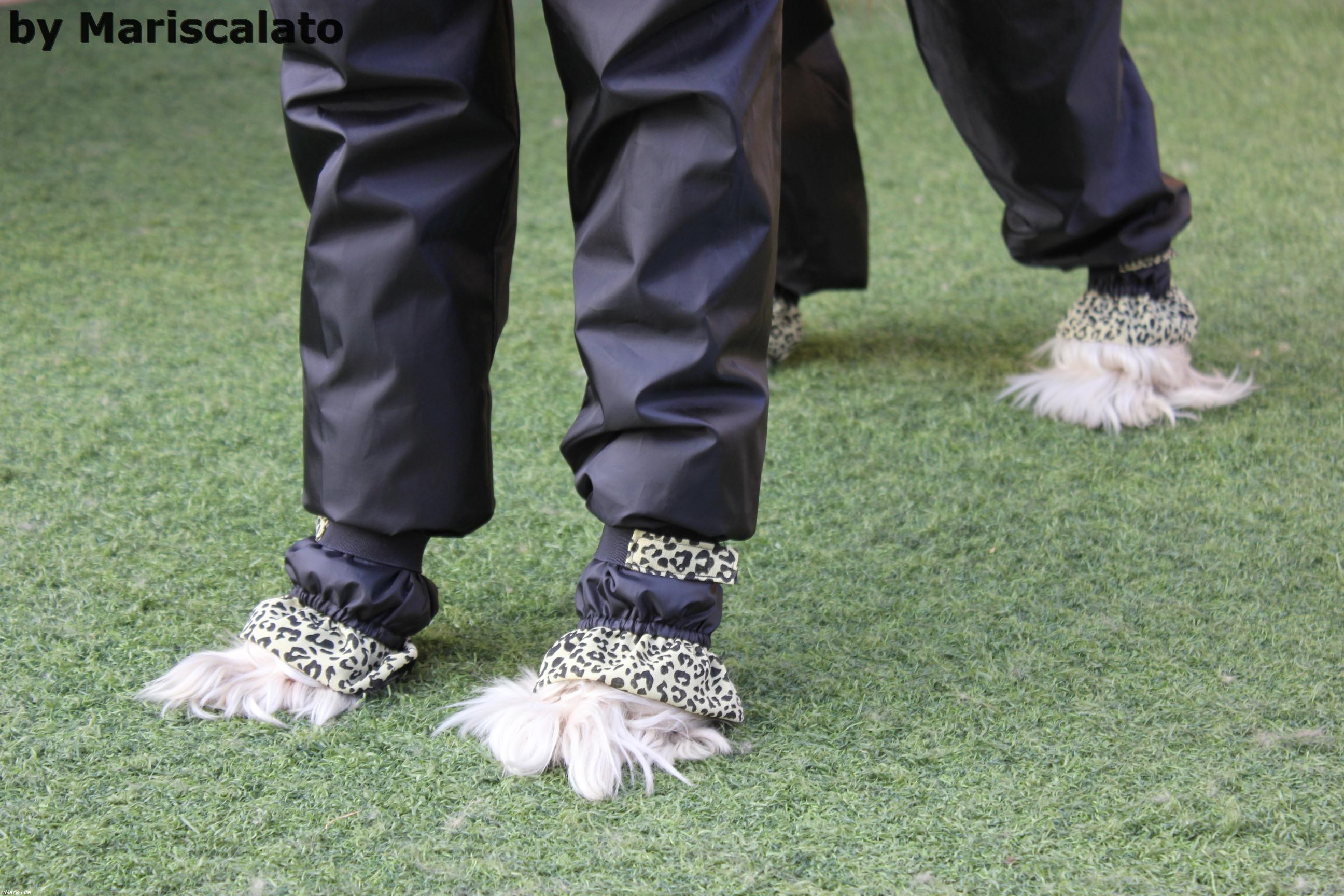 RAINSUITS Mariscalato´s Afghans